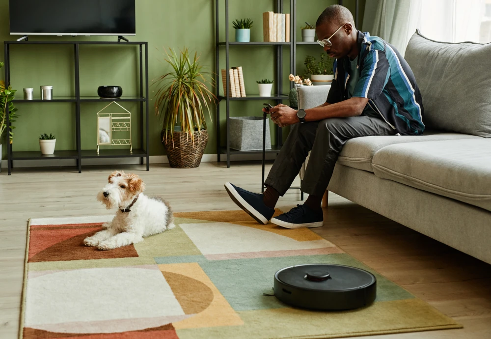 robot vacuum cleaner with docking station